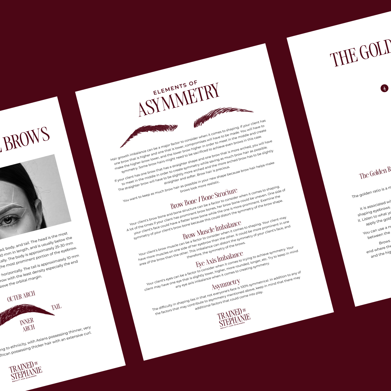 The Brow Mapping Masterclass