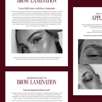 The Brow Lamination Masterclass