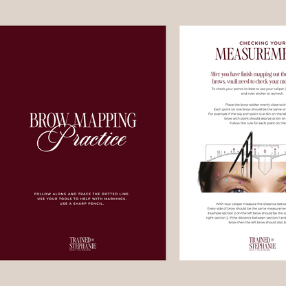 The Brow Mapping Masterclass