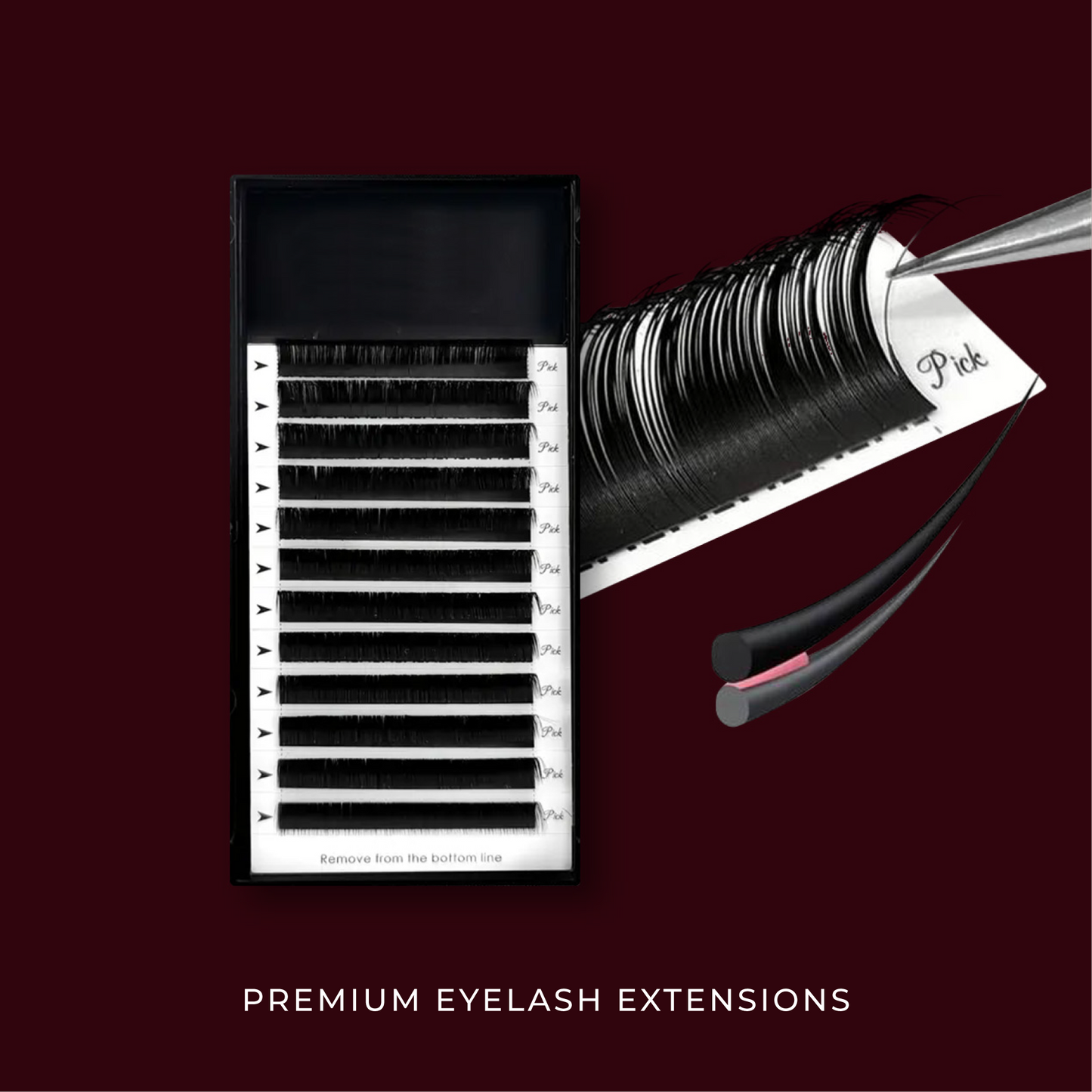 The Lash Extensions Training Kit