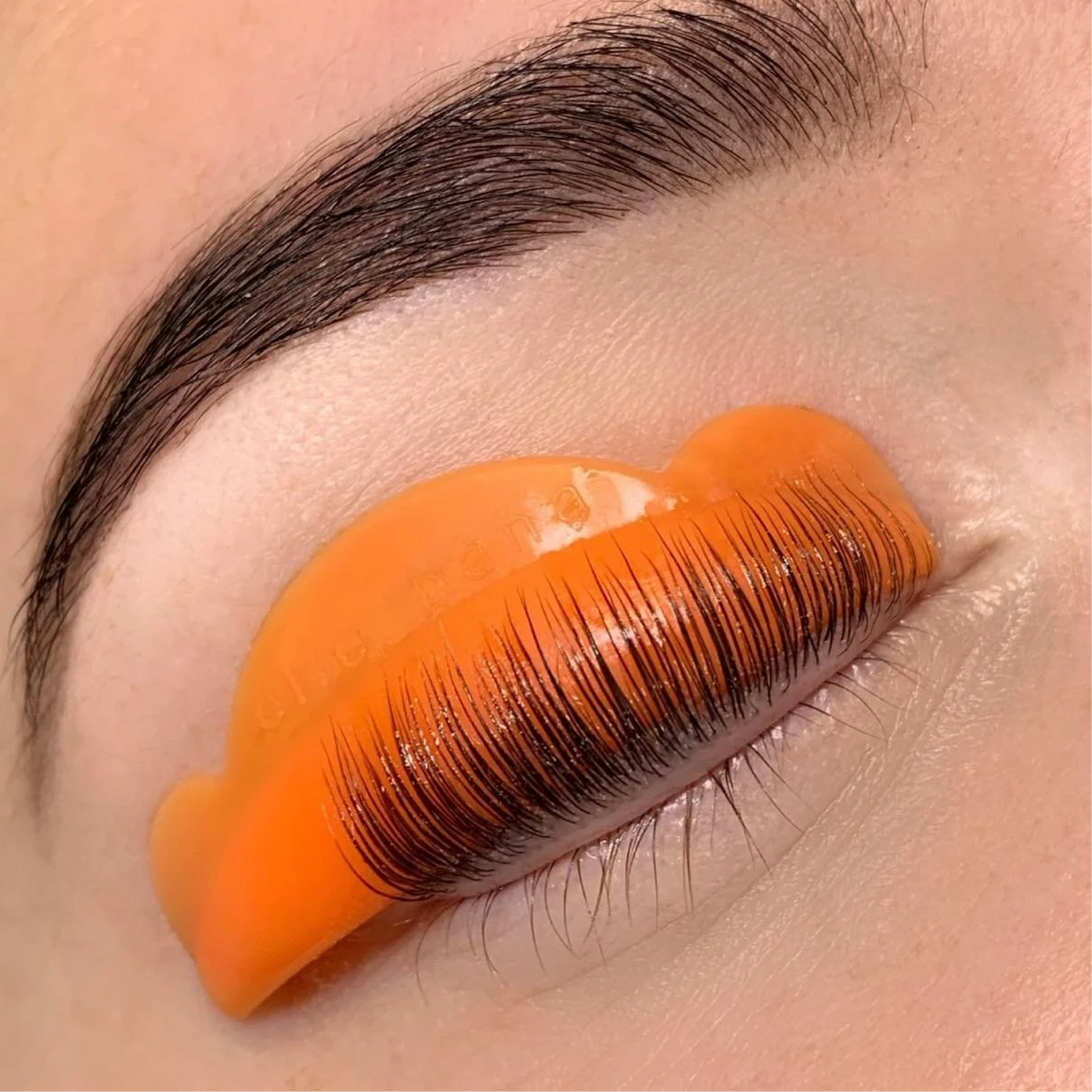 The Lash Lift Training Kit