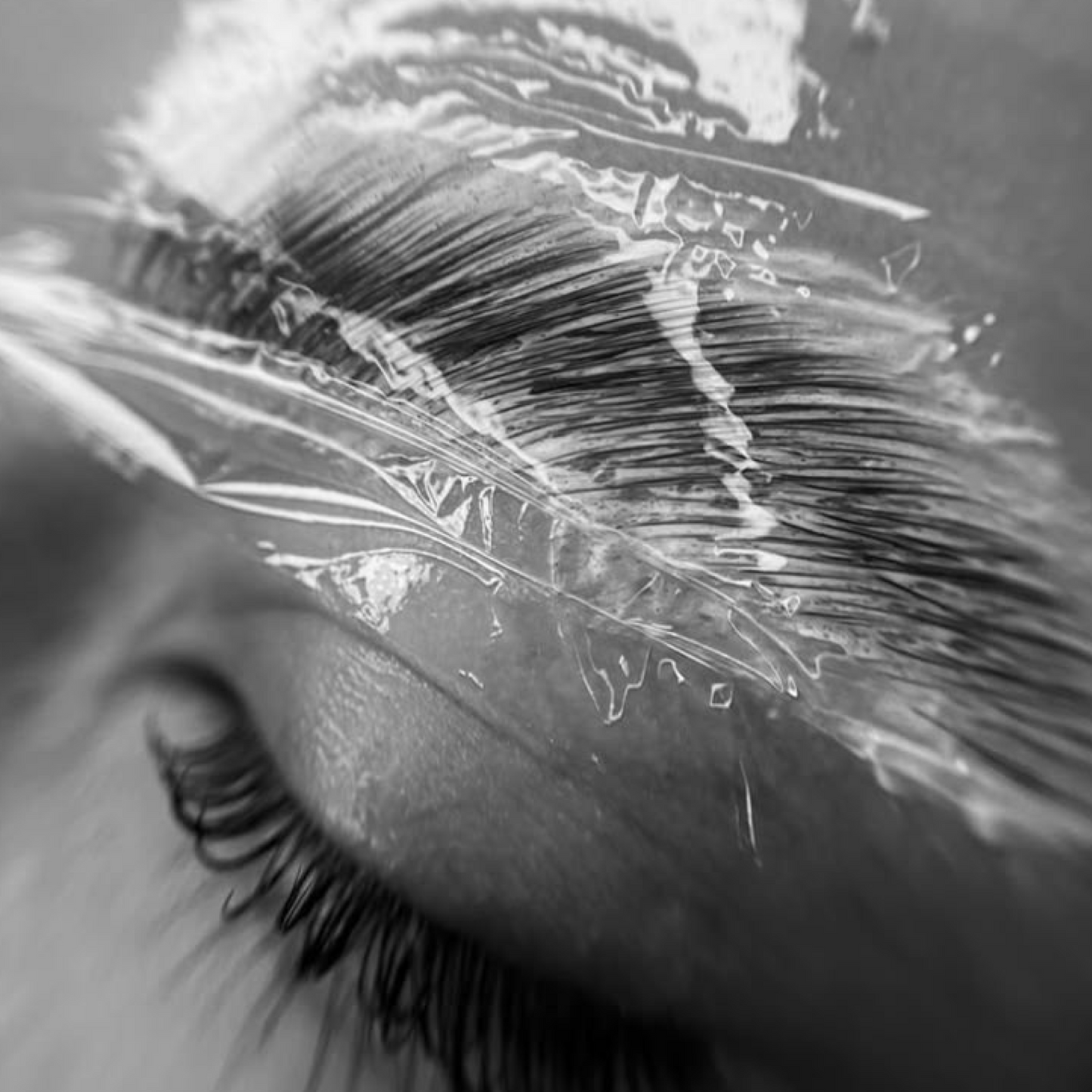 The Brow Lamination Masterclass