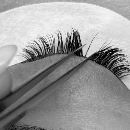 The Lash Extensions Masterclass