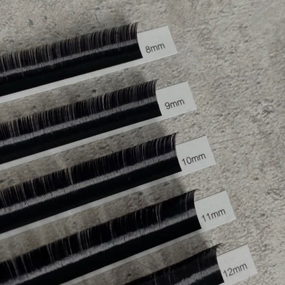 The Lash Extensions Masterclass