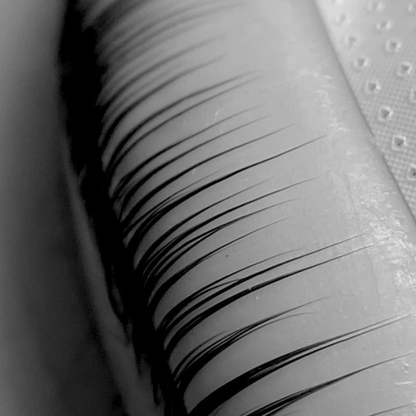 The Lash Lifting Masterclass - Newest Technology